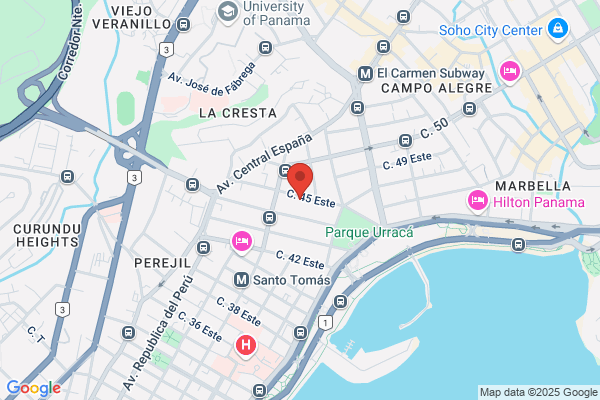 ACADEMIA PANAME