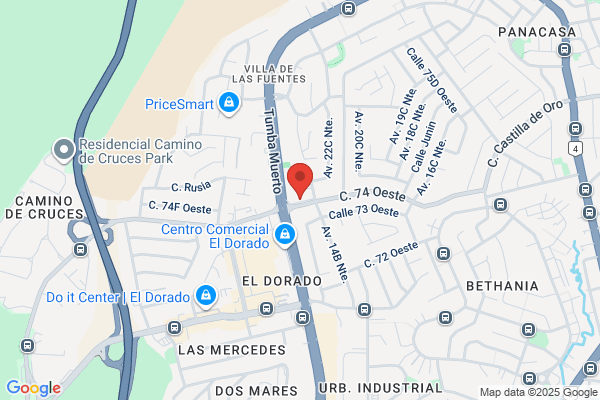 AGENCIA ADUANAL BORRERO, S A