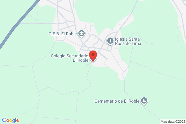 Primer Ciclo El Roble
