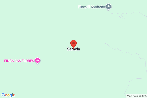 Saravia, Gustavo
