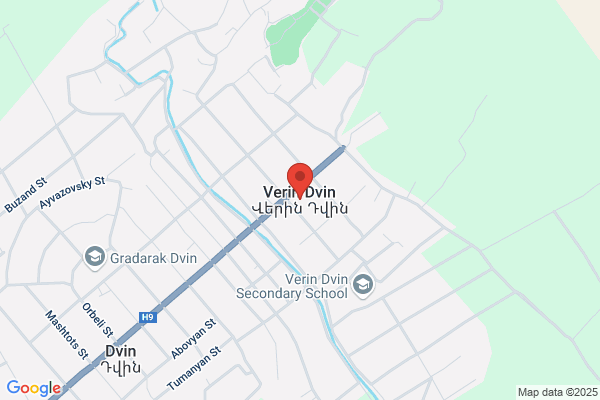 D'Vinni