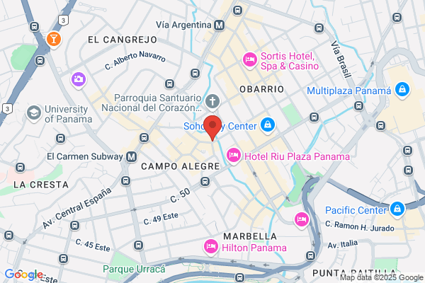 PANAMA GEOMATICS, S A