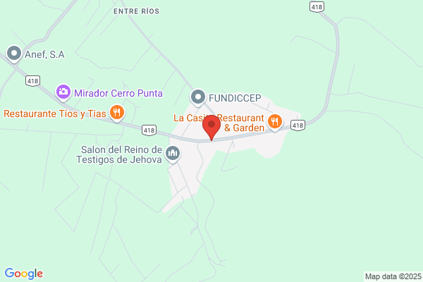 Cerro Punta Center