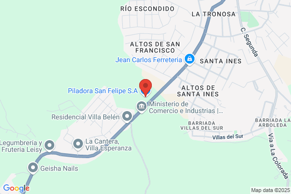 Piladora San Felipe, S A