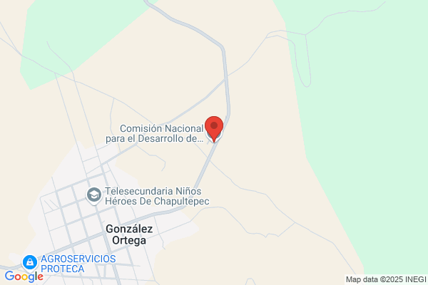 Coordinadora Nacional de Los Pueblos Ind