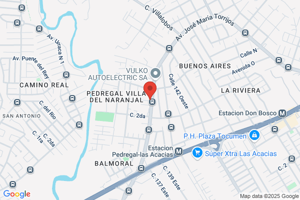 Auto Repuestos y Ferreteria Pedregal