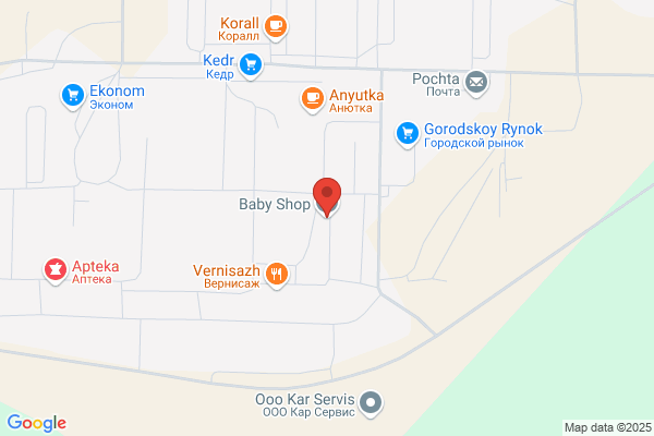 The Baby Shop