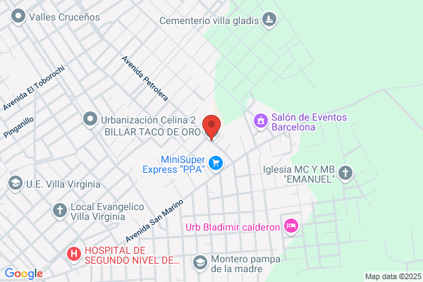 Billar Taco de Oro