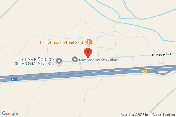 Bodega Moy