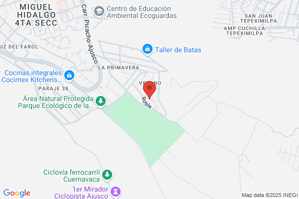 SERVICIOS FUNERALES Y CREMACION EMMANUEL