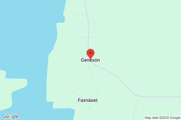 Geneson's
