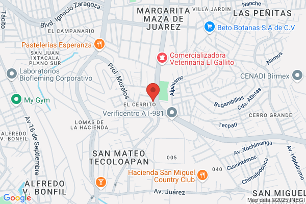 INSTITUTO CELESTIN FREINET