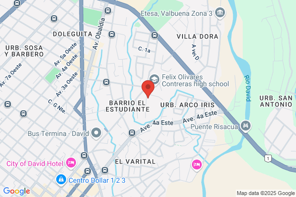 Instituto Profesional y T