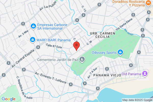 FUMIGADORA PANAMERICANA INTERNACIONAL