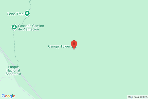 Canopy Tower