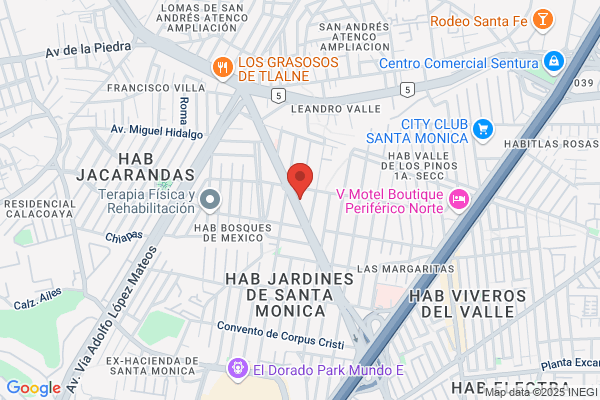 INSTITUTO DE ESTETICA Y COSMETOLOGIA