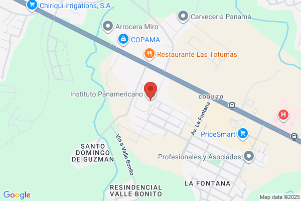 INSTITUTO PANAMERICANO