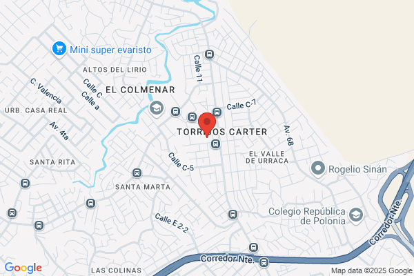 Instituto Profesional y T