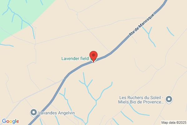 Lavander