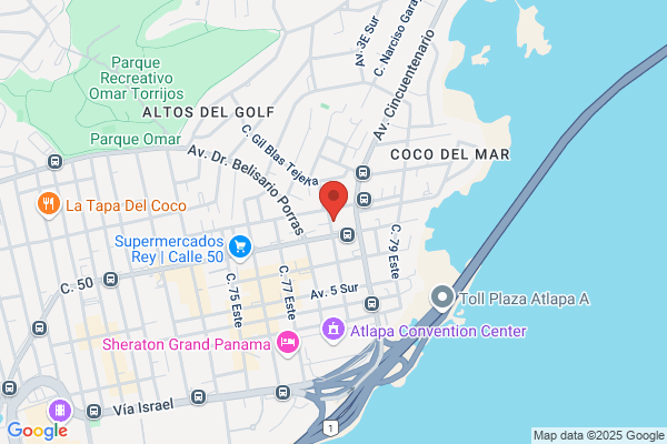 PANAMA MARITIME DOCUMENTATION SERVICES INC