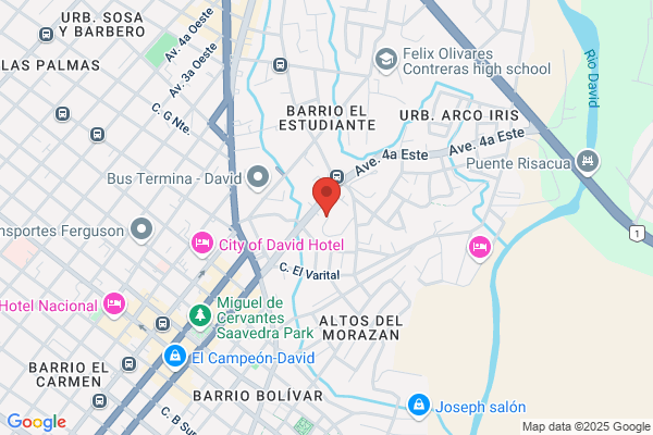Area Sanitaria de David