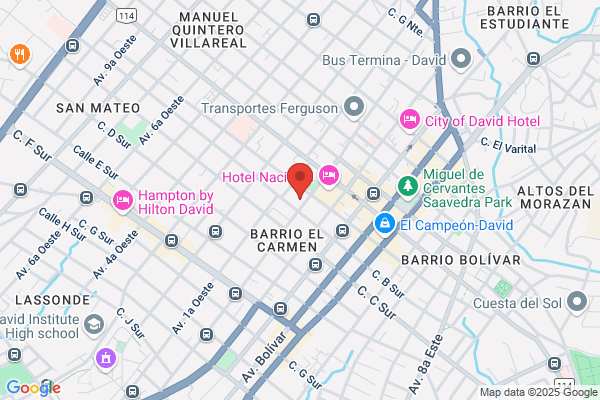 Municipio de David