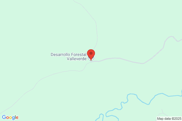 VALLE VERDE DESARROLLO FORESTAL