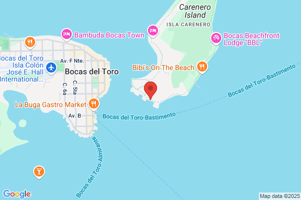 Almeja Barbuda