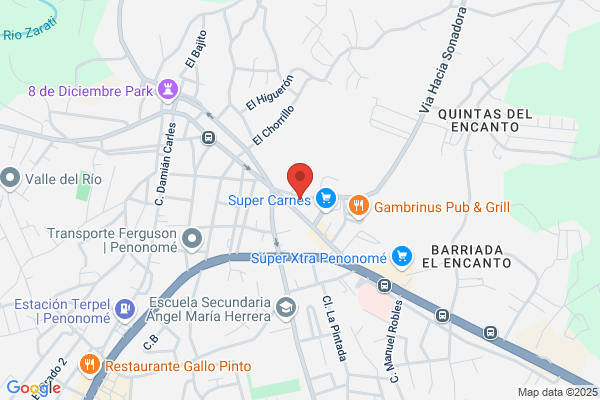 RESTAURANTE NATURISTA MI SALUD