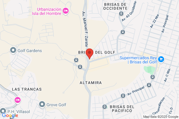 Restaurante y Pizzeria Los Toneles