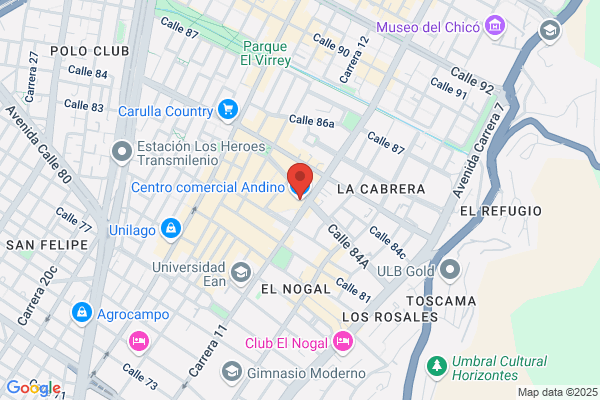 ANDINO INTERNACIONAL