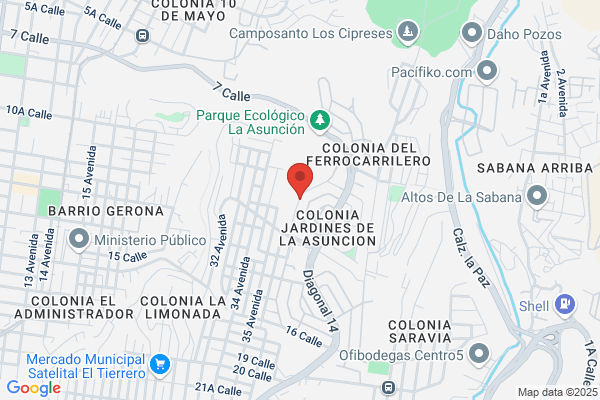 SERVICIOS PROFESIONALES DE SEGURIDAD