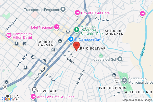 Seguridad y Vigilancia Chiriqu