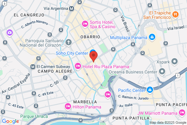 PANAMERICANA DE SEGUROS, S A