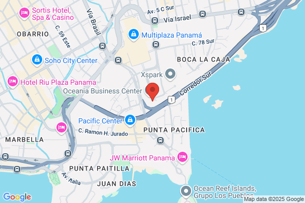 EMPRESA MERCANTIL Y DE SEGUROS, S A