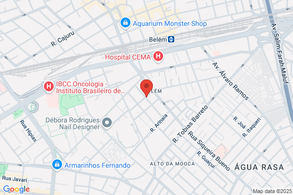 Neon y Artes Plasticas, S.A