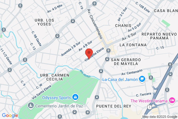 TALLER, VENTAS Y SERVICIOS REGO, S A