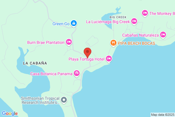 Mantenimiento y Servicios Bocas, S A