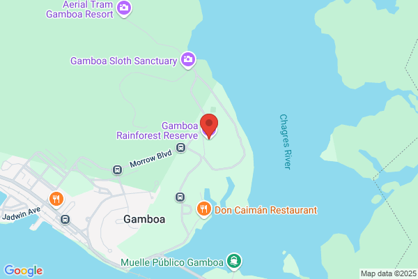GAMBOA TOURS