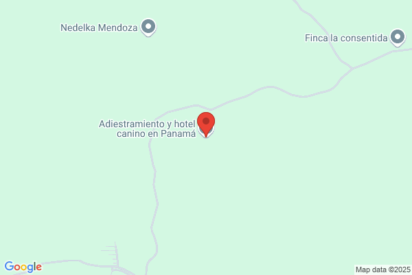 ACADEMIA TECNICA DE ADIESTRAMIENTO CANINO # 1